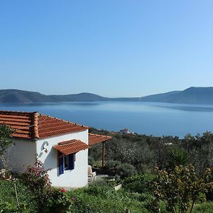 Mourtero House Βίλα Καλαμάκια Room photo