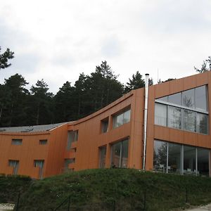 Family Hotel The Body Μπατάκ Exterior photo