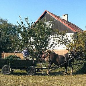 Platanus Bed and Breakfast Beckov Exterior photo