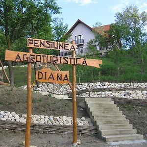 Pensiunea Agroturistica Diana Ξενοδοχείο Magura  Exterior photo