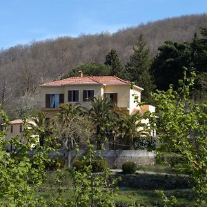 Valle Maira, Agriturismo Nel Parco Dei Nebrodi Βίλα Tortorici Exterior photo