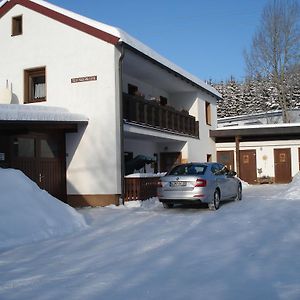 Haus Steinwaldblick Διαμέρισμα Bernlohe  Exterior photo