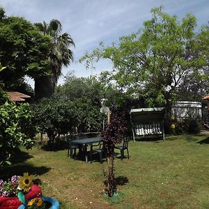 Zimmer In The Garden ξενώνας Karmiel Exterior photo