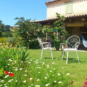 Poggio Dei Prugnoli Bed and Breakfast Tavoleto Exterior photo