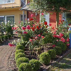 Ferienhaus Schloss-Garten Διαμέρισμα Kapellen-Drusweiler Exterior photo