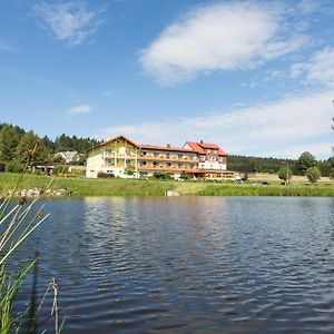 Gasthof-Pension Nordwald Ξενοδοχείο Harbach  Exterior photo