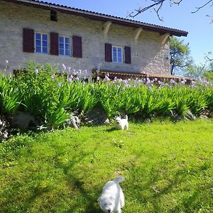 Chambre D'Hotes La Haie Fleurie Bed and Breakfast Chevillard Exterior photo