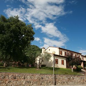 B&B Contarine Cinto Euganeo Exterior photo