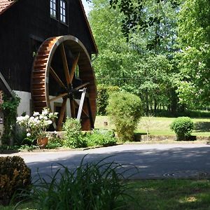 Landgasthof Geiersmuehle Ξενοδοχείο Vielbrunn Exterior photo