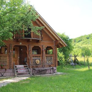 Saduba Kozatska Detsa Βίλα Zhdeniievo Room photo