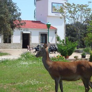 San Jose ξενώνας Andújar Exterior photo