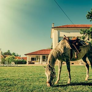 Guest House Ongal Κρουσούνα Exterior photo