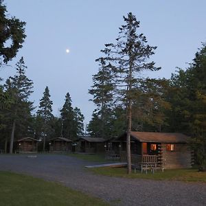 Narrows Too Camping Resort Cabin 1 Τρέντον Exterior photo