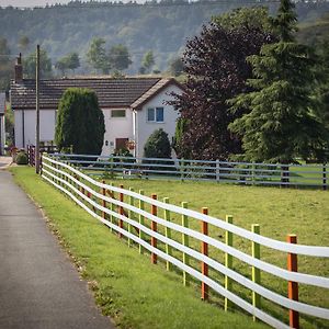 Glan Llyn Farm House Βίλα Mold Exterior photo