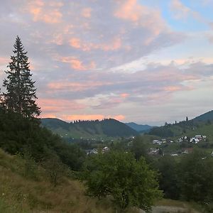 Vila Bucovina Ξενοδοχείο Ciocanesti Exterior photo