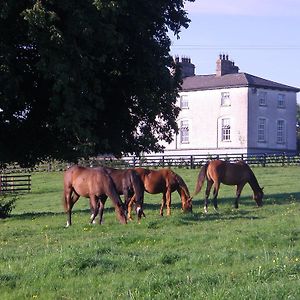 Glebe House ξενώνας Taghshinny Exterior photo