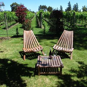 Villa In The Vines Martinborough Exterior photo