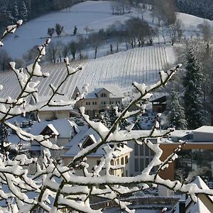 Weingut Wissler - Brennerei Διαμέρισμα Au Exterior photo