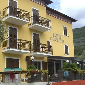 Albergo Garni Orchidea Ρίβα ντελ Γκάρντα Exterior photo