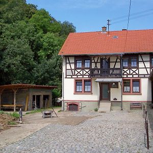 Pferdehof Und Wanderreitstation Doersam Βίλα Mörlenbach Exterior photo