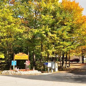 Tranquil Timbers Park Model 7 Ξενοδοχείο Sturgeon Bay Exterior photo