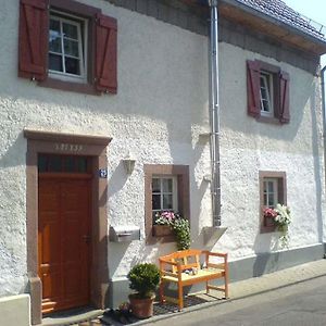 Relaxen Am Nationalpark Eifel Βίλα Ahrhutte Exterior photo