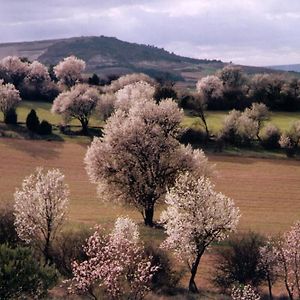 Finca El Cercado Βίλα Baltanás Exterior photo