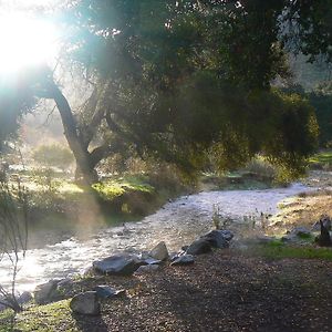 Pio Pico Camping Resort One-Bedroom Cabin 13 Jamul Exterior photo