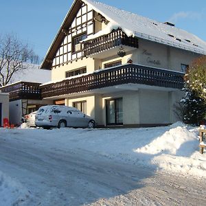 Haus Cristallo Διαμέρισμα Olsberg Exterior photo