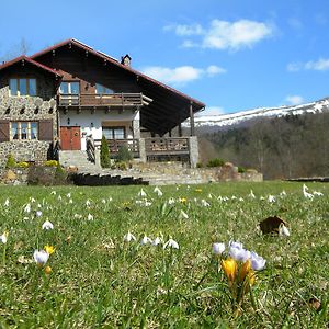 Chalet Kukavica Βίλα Zhdeniievo Exterior photo