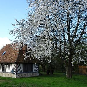 Gite Falafa Normand Βίλα Pont-Évêque Exterior photo