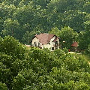 Pensiunea 7 Brazi Ξενοδοχείο Poiana Mărului Exterior photo