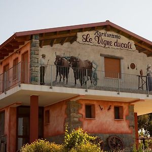 Agriturismo Le Vigne Ducali Βίλα Màndas Exterior photo