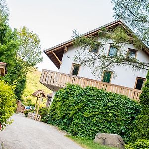 Oeko-Park Panzio, Kemping Es Rendezvenykoezpont Ξενοδοχείο Szarvaskő Exterior photo