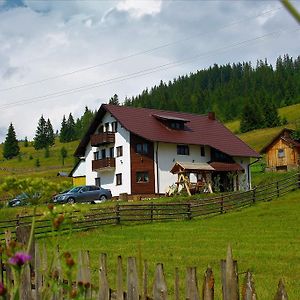 Casa Din Plai - Bucovina Ξενοδοχείο Moldova Sulita Exterior photo