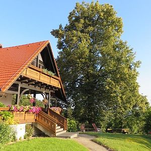 Country House Apat ξενώνας Sostanj Exterior photo