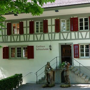 Gasthaus Schlosshalde Ξενοδοχείο Βίντερτουρ Exterior photo