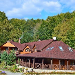 Zelena Sadyba Ξενοδοχείο Turichki Exterior photo