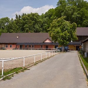 Penzion Hradisko Βίλα Rožnov pod Radhoštěm Exterior photo