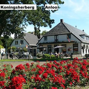 Hotel Restaurant De Koningsherberg Anloo Exterior photo