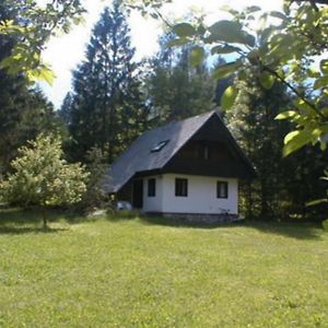 Apartmaji In Sobe Bohinjsko Jezero Ξενοδοχείο Ukanc Exterior photo