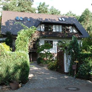 Hotel Tannenspitze Wittenberg Exterior photo