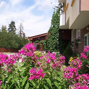 Guest House Zodiac Σάμοκοβ Exterior photo