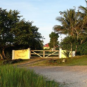 Casa Del Caballo Blanco Ξενοδοχείο San Ignacio Exterior photo