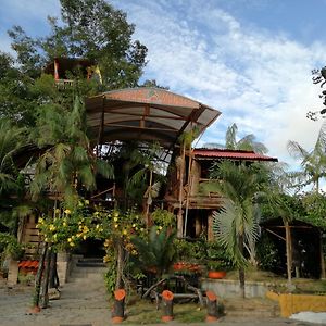 Hotel Cabana Guainiana Ινίριντα Exterior photo