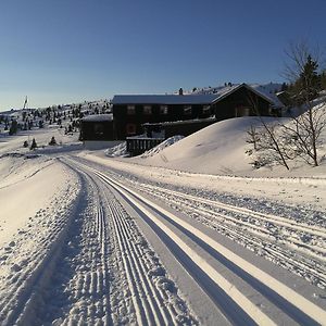 Sulseter Fjellstugu Διαμέρισμα Vinstra Exterior photo