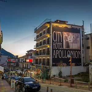 City Hotel Apollonion Καρπενήσι Exterior photo