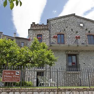 Holiday House "Pietra Viva" Διαμέρισμα Castelnuovo Parano Exterior photo