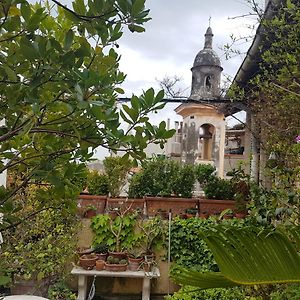 La Terrazza Dei Pelargoni B&B Βεντιμίλια Exterior photo