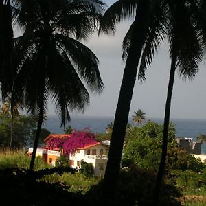 Aldeia Jerome Bed and Breakfast Paul Exterior photo